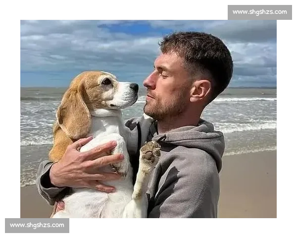 拉姆塞悬赏万美金寻犬 Halo，三周搜寻仍盼归期